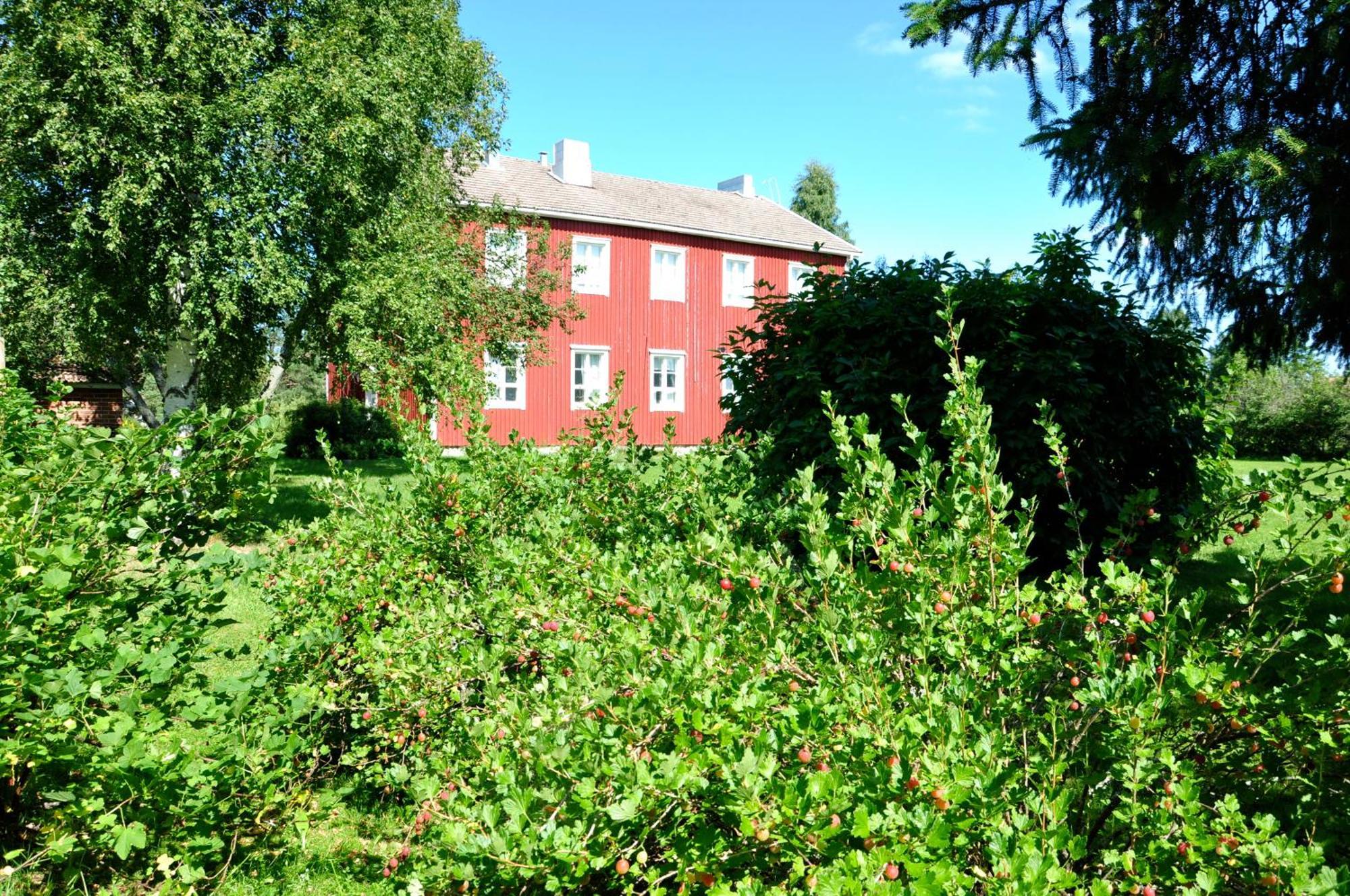 Opintola Bed & Breakfast Norinkylä Exteriér fotografie
